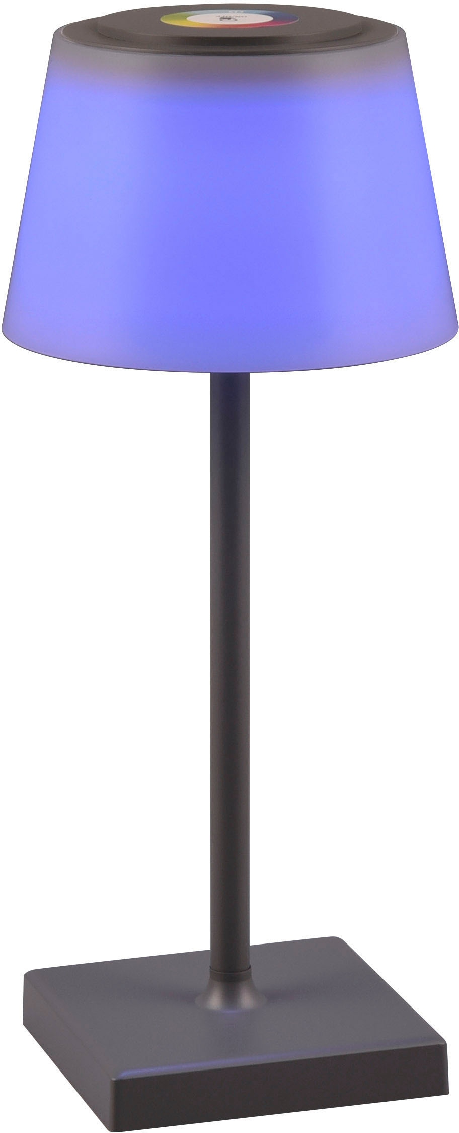 Garten Tischlampe dimmbar Farbwechsel RGB TRIO Lichtfarbe »Sanchez«, online LED bei Außen-Tischleuchte flammig-flammig, einstellbar Akku OTTO 1 Leuchten