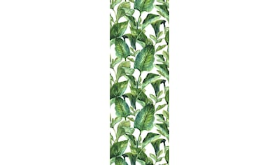 queence Vinyltapete »Green Leaves«, 90 x 250 cm, selbstklebend kaufen