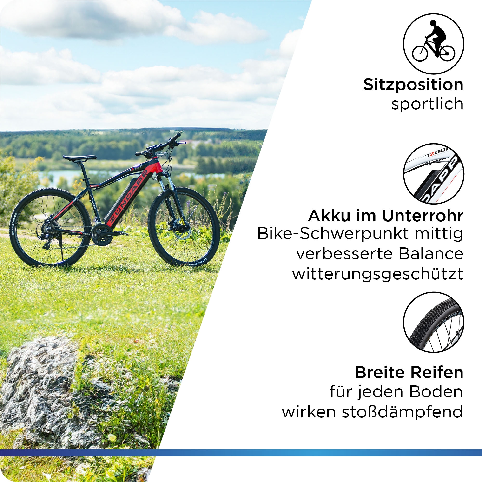 Zündapp E-Bike »Z801«, 21 Gang, Shimano, Tourney RD-TY300, Heckmotor 250 W, Pedelec, Elektrofahrrad für Damen u. Herren, MTB