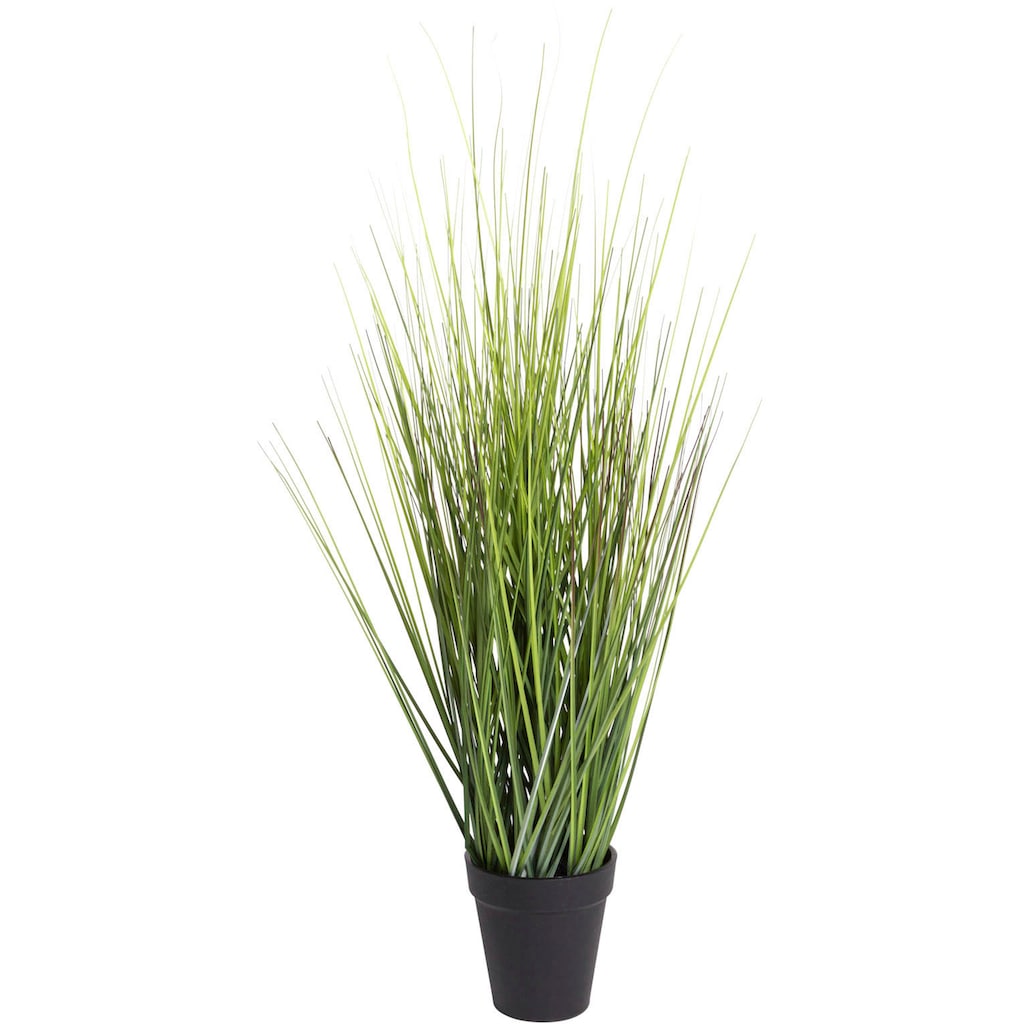 Botanic-Haus Kunstgras »Gras Festuca«