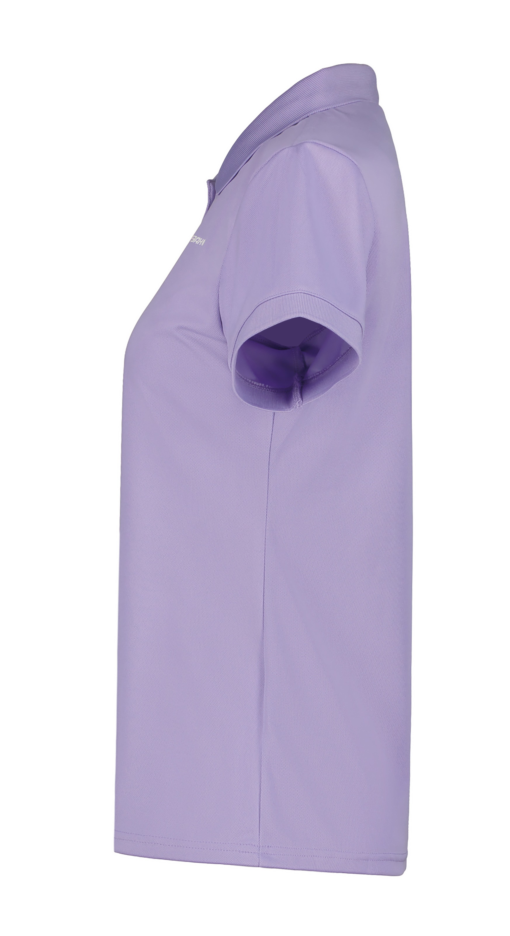 Icepeak Poloshirt »BAYARD« sportlicher Stil, aus Polyester, schnelltrocknend, pflegeleicht