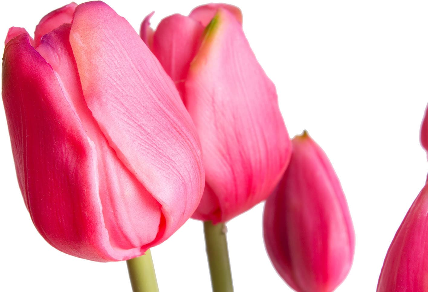 Botanic-Haus Kunstblume »Tulpenbündel«
