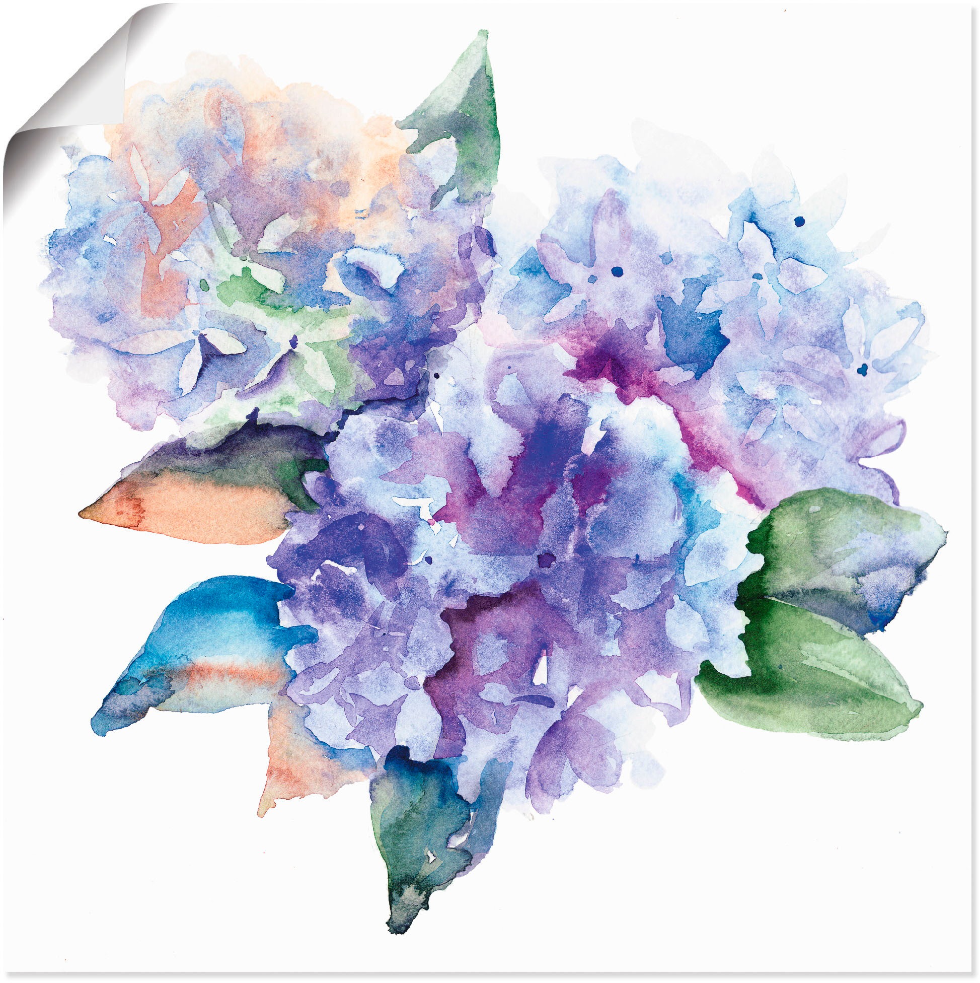 Artland Wandbild »Hortensien«, Blumen, online Größen (1 Leinwandbild, Poster verschied. in OTTO St.), als bei kaufen