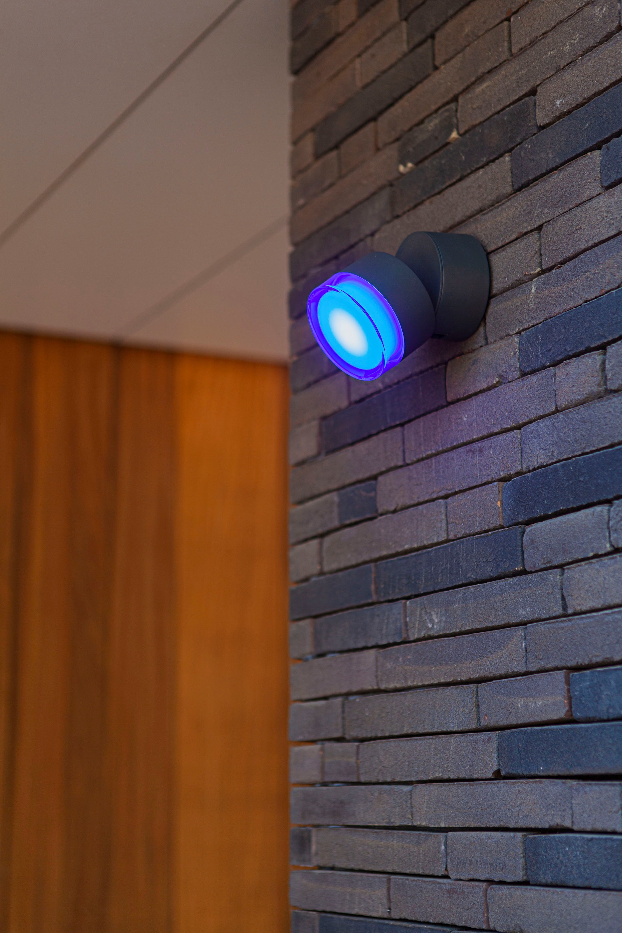 LUTEC Smarte LED-Leuchte »DROPSI«, Leuchtmittel LED-Modul | LED fest integriert, Smart-Home