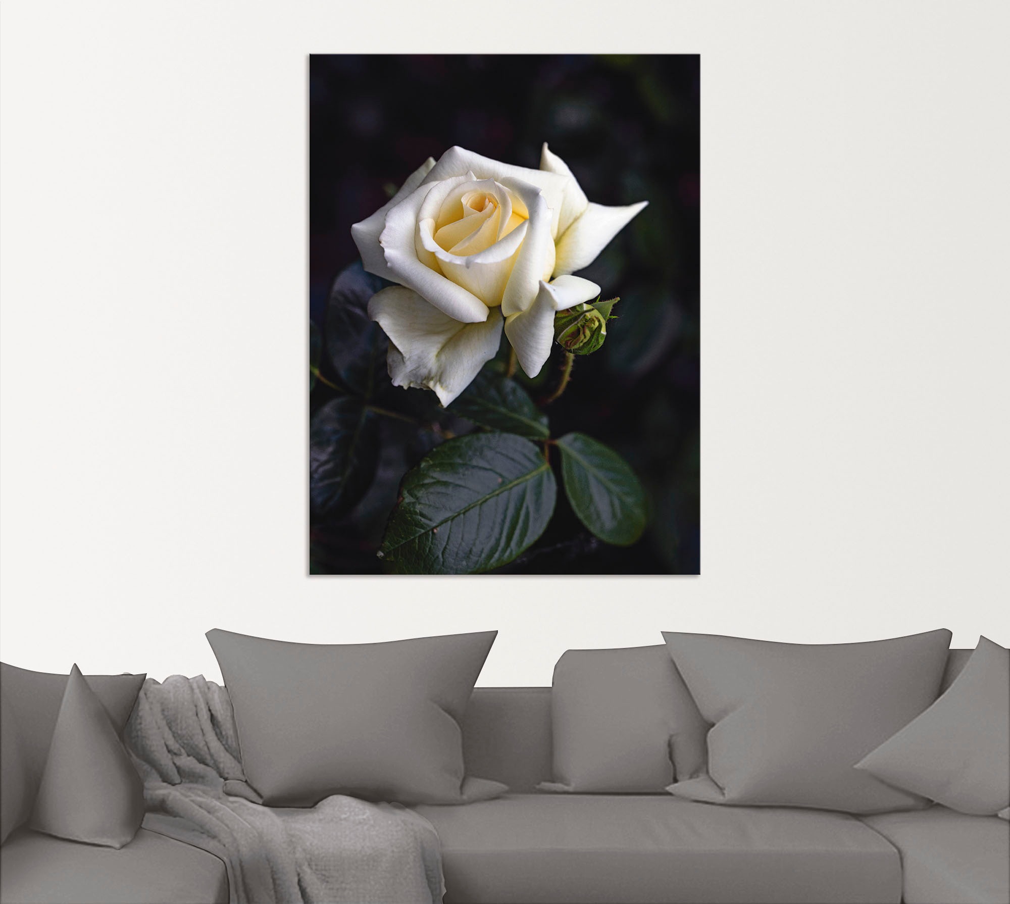 »Weiß-gelbe Wandbild Shop Rose«, Alubild, Blumen, Artland oder Größen St.), (1 im in Wandaufkleber als Online OTTO Poster Leinwandbild, versch.