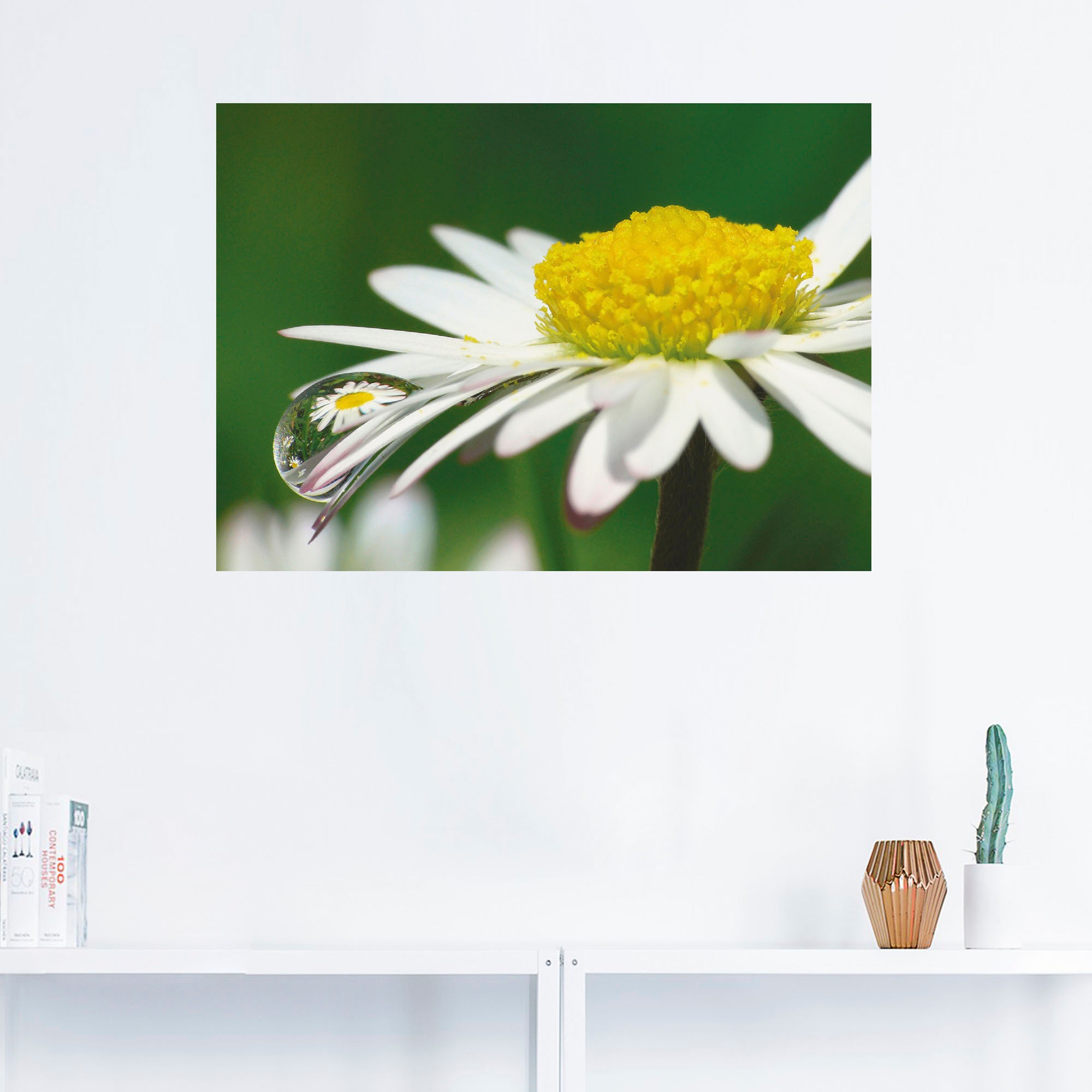 Artland Wandbild »Gänseblümchen mit Wassertropfen«, Blumen, (1 St.), als Leinwandbild, Wandaufkleber oder Poster in versch. Größen