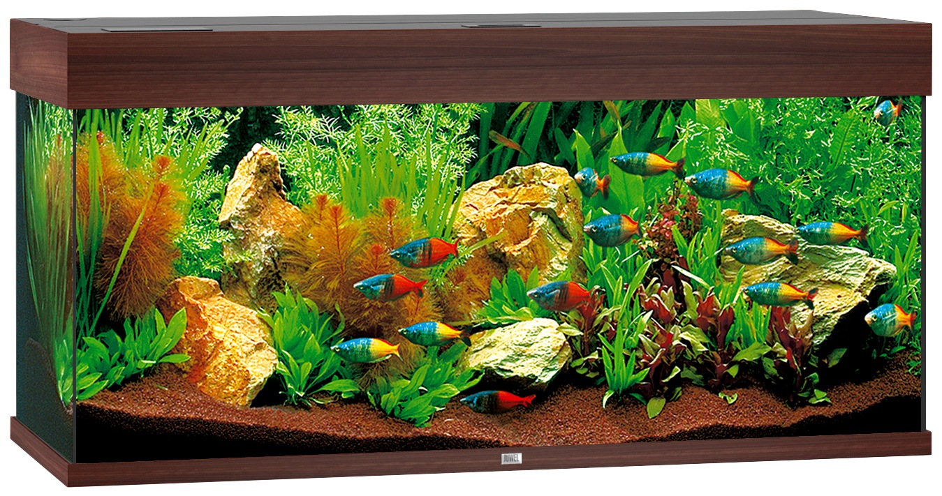 JUWEL AQUARIEN Aquarium »Rio 180 LED«, BxTxH: 101x41x50 cm, 180 l