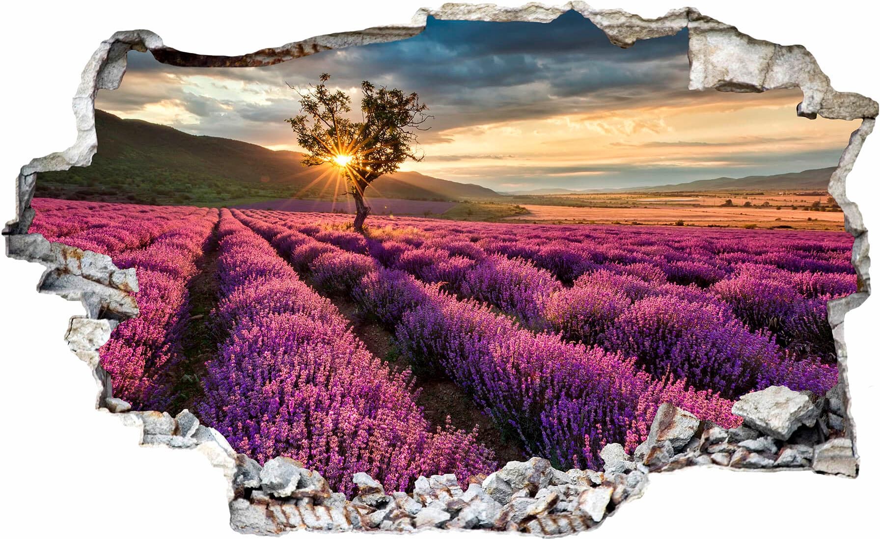 Wall-Art Wandtattoo »Lavendel in der Provence«, selbstklebend, entfernbar