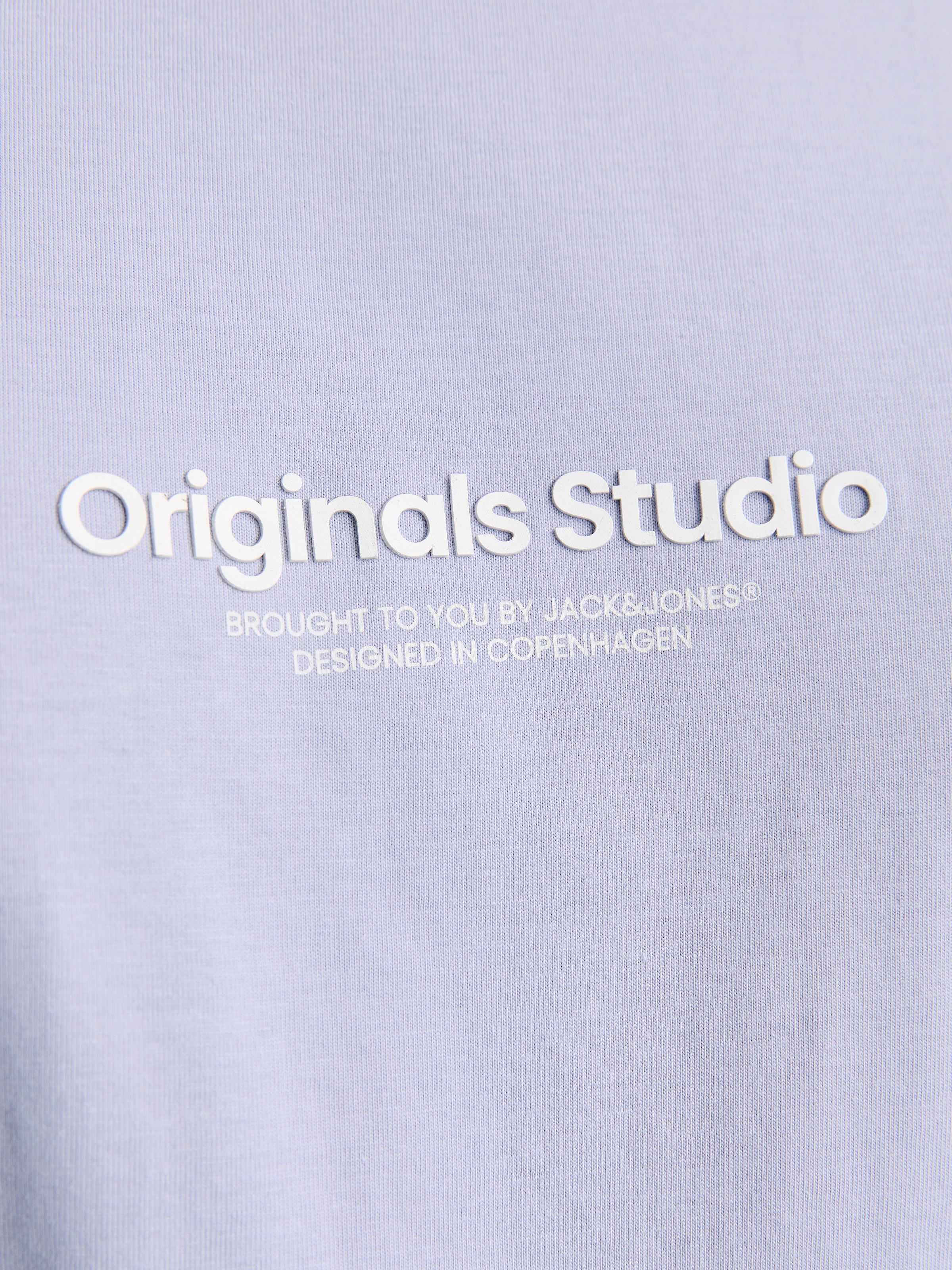 Jack & Jones PlusSize Kurzarmshirt »JORVESTERBRO TEE SS CREW NECK NOOS PLS«