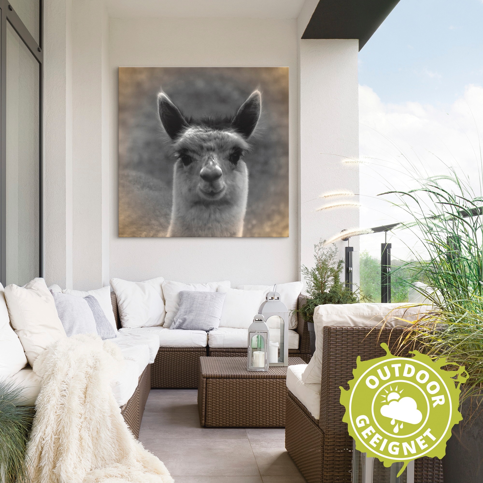 Artland Wandbild »Alpaka Blick«, Wildtiere, (1 St.), als Alubild, Outdoorbild, Leinwandbild, Poster in verschied. Größen