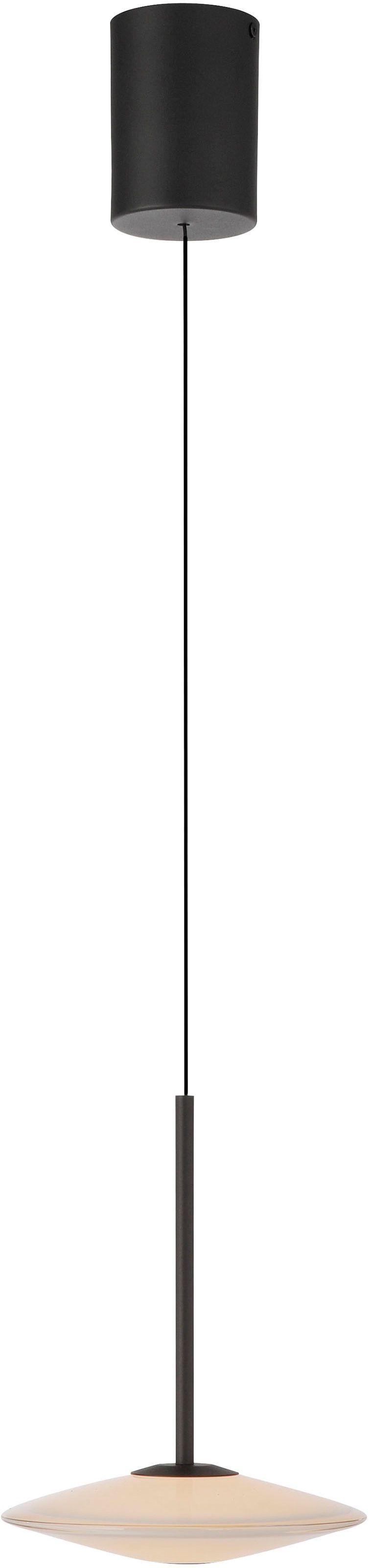 Paul Neuhaus LED Pendelleuchte »ELIPSA« LED-Board 1 Stk. Warmweiß Dimmfähig über separaten Tronicdimmer, Comfort-Lift