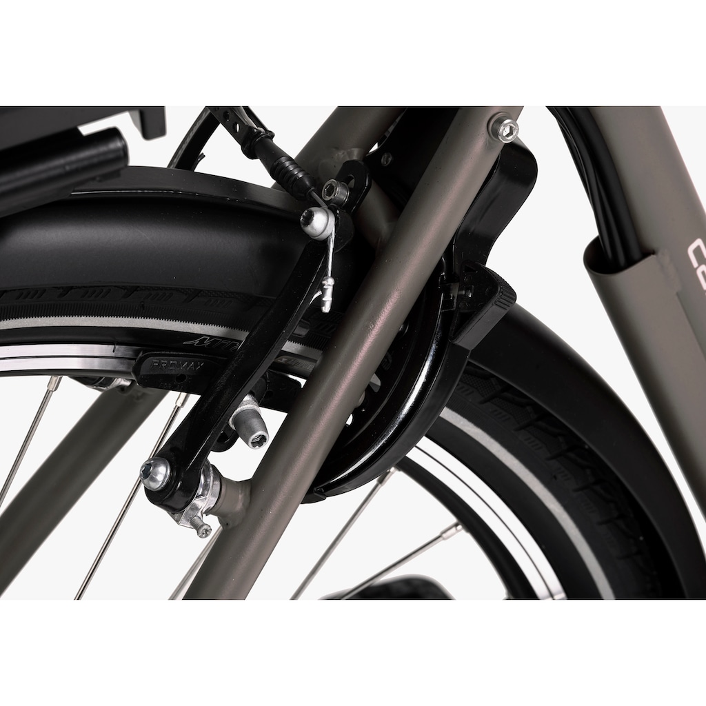 Hollandia E-Bike »Carry On«, 3 Gang, Shimano, Nexus, Frontmotor 250 W