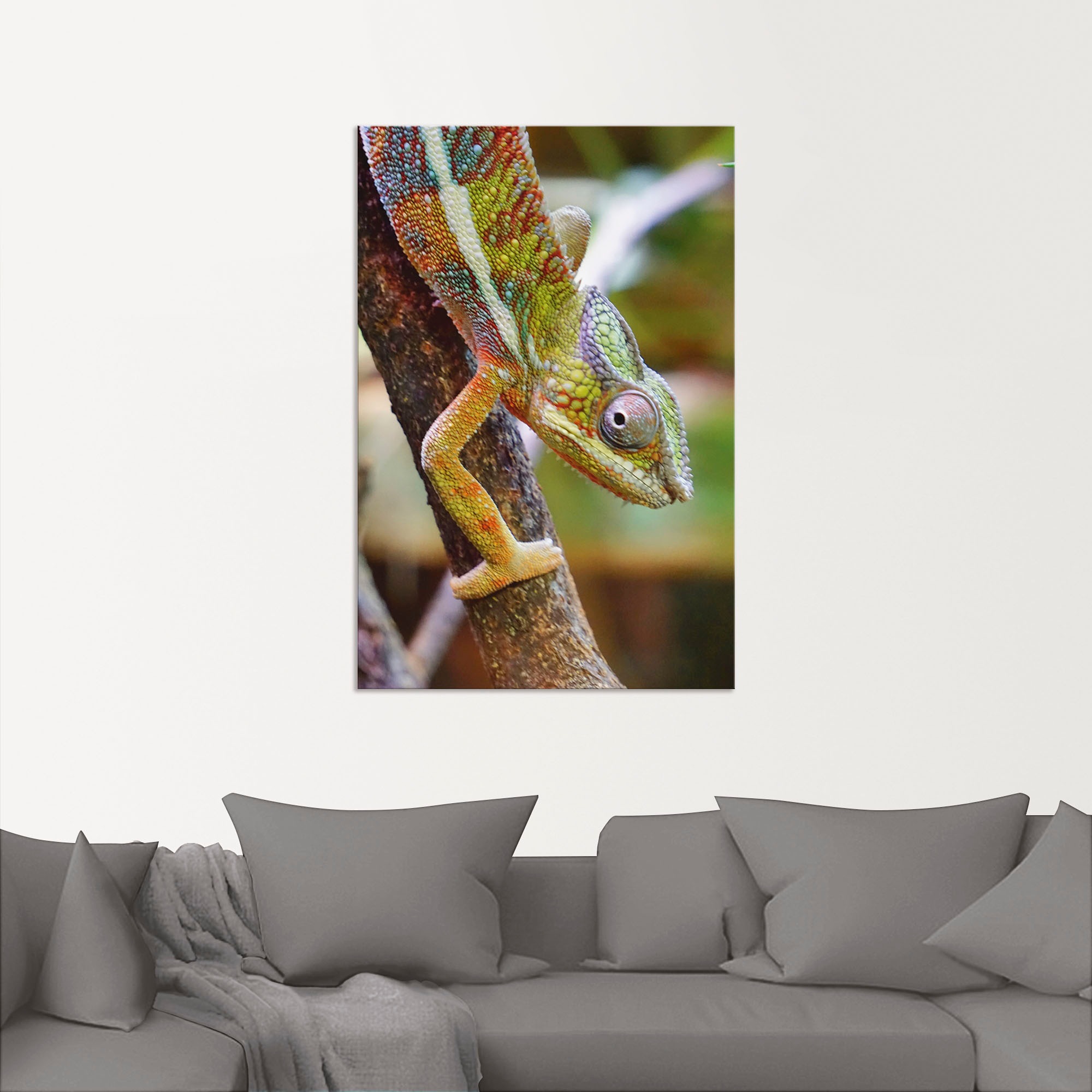 Artland Wandbild »Chamäleon«, Reptilien, (1 St.), als Alubild, Leinwandbild, Wandaufkleber oder Poster in versch. Größen