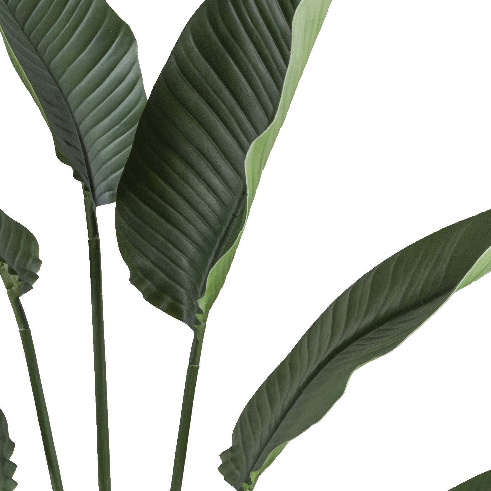 Creativ green Kunstpalme »Ravenalapalme«, mit großformatigem Blattwerk
