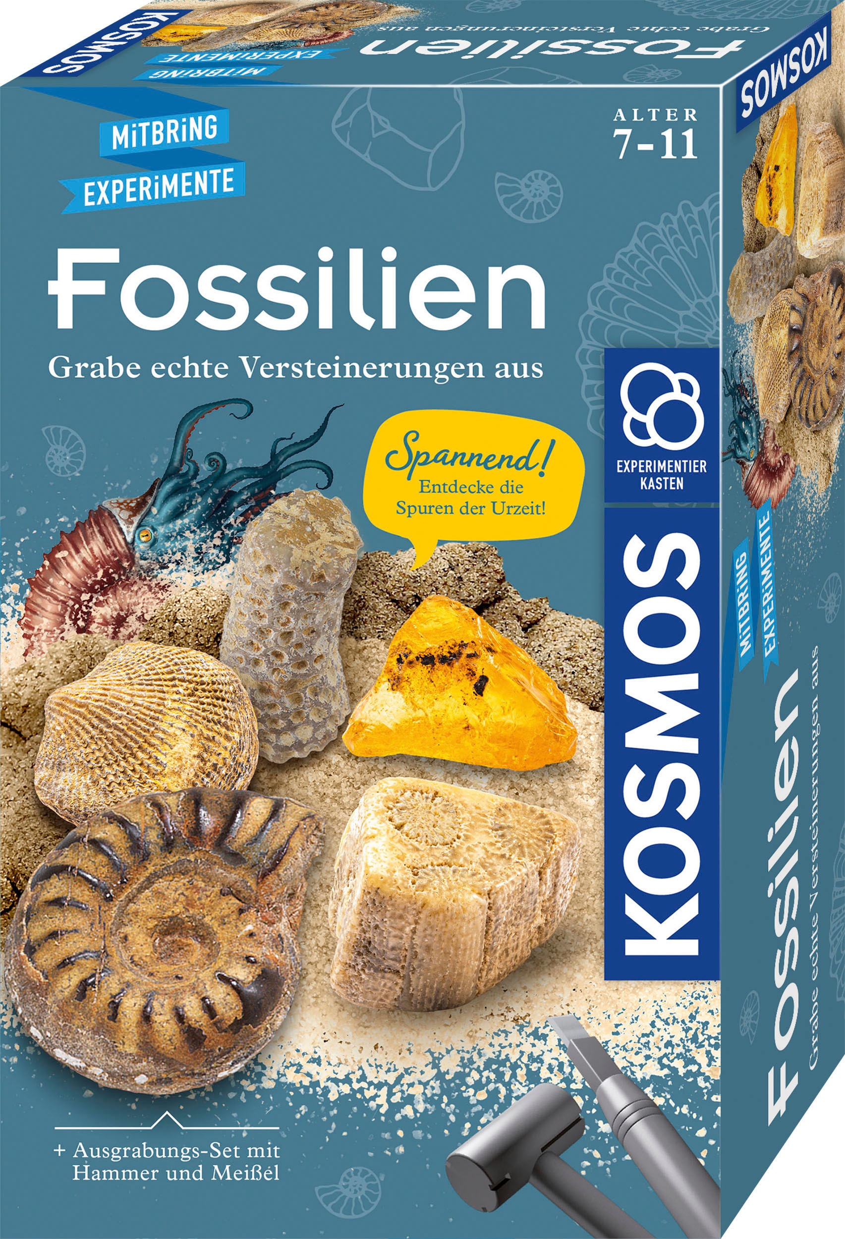 Experimentierkasten »Fossilien«