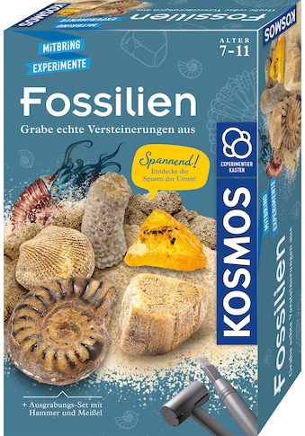 Experimentierkasten »Fossilien«