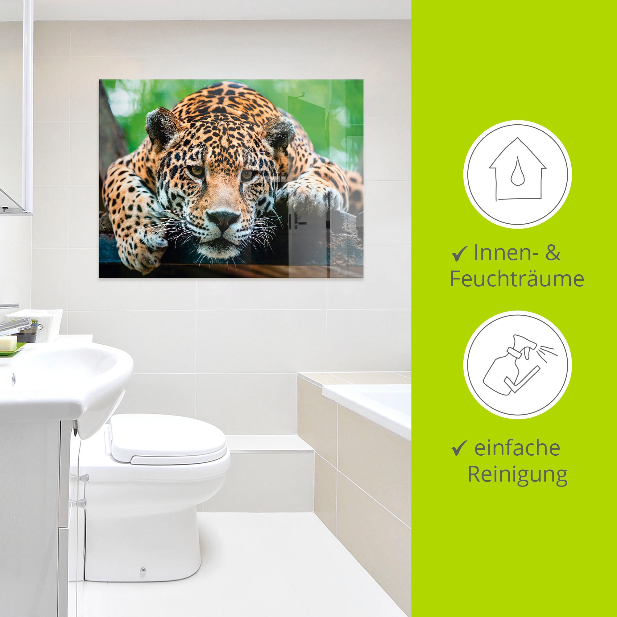 Artland Glasbild »Südamerikanischer Jaguar«, Wildtiere, (1 St.)