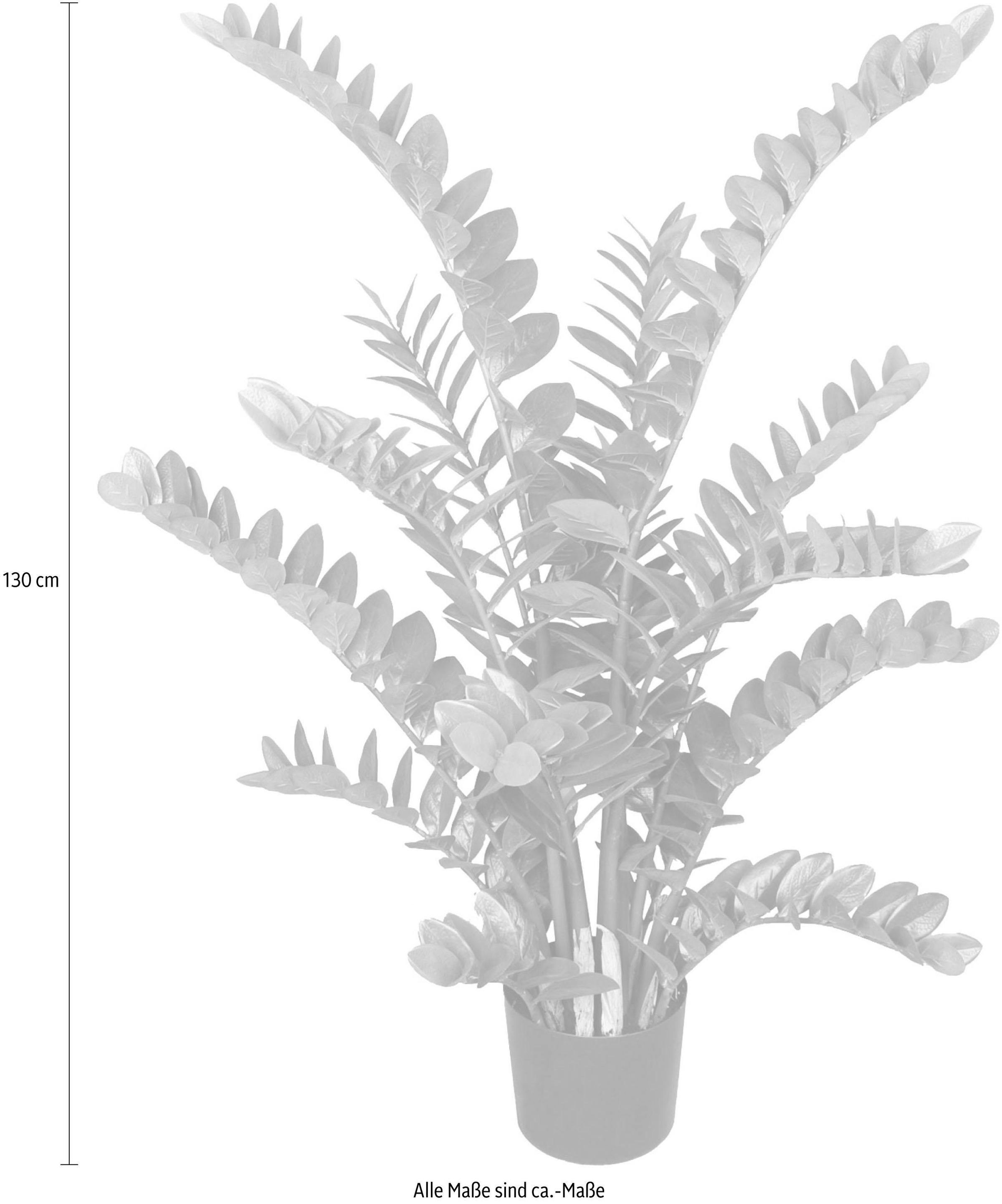 Creativ green Kunstpflanze »Zamifolia«
