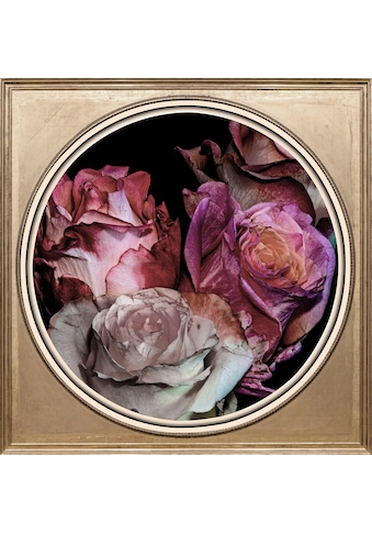 queence Acrylglasbild »Getrocknete Rosen« kaufen