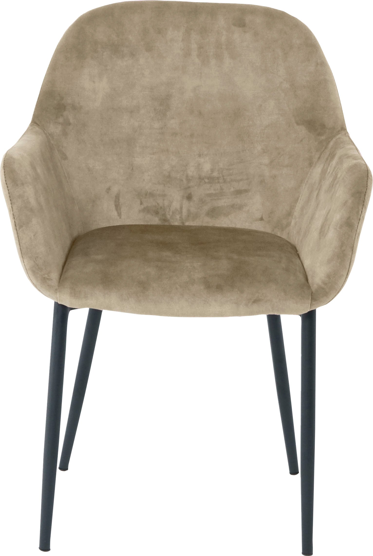 SIT Armlehnstuhl, (Set), 2 St., Samt, glamouröser Bezug in Samtoptik