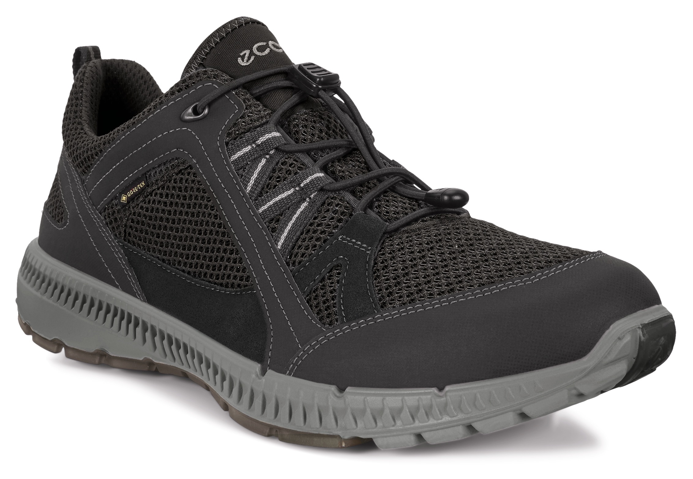 Sneaker »TERRACRUISE 2 M«, mit GORE-TEX