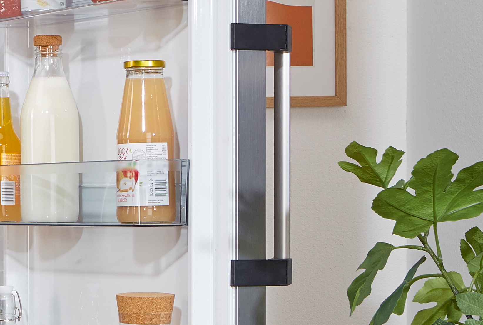 GORENJE Kühlschrank »R619DAXL6«