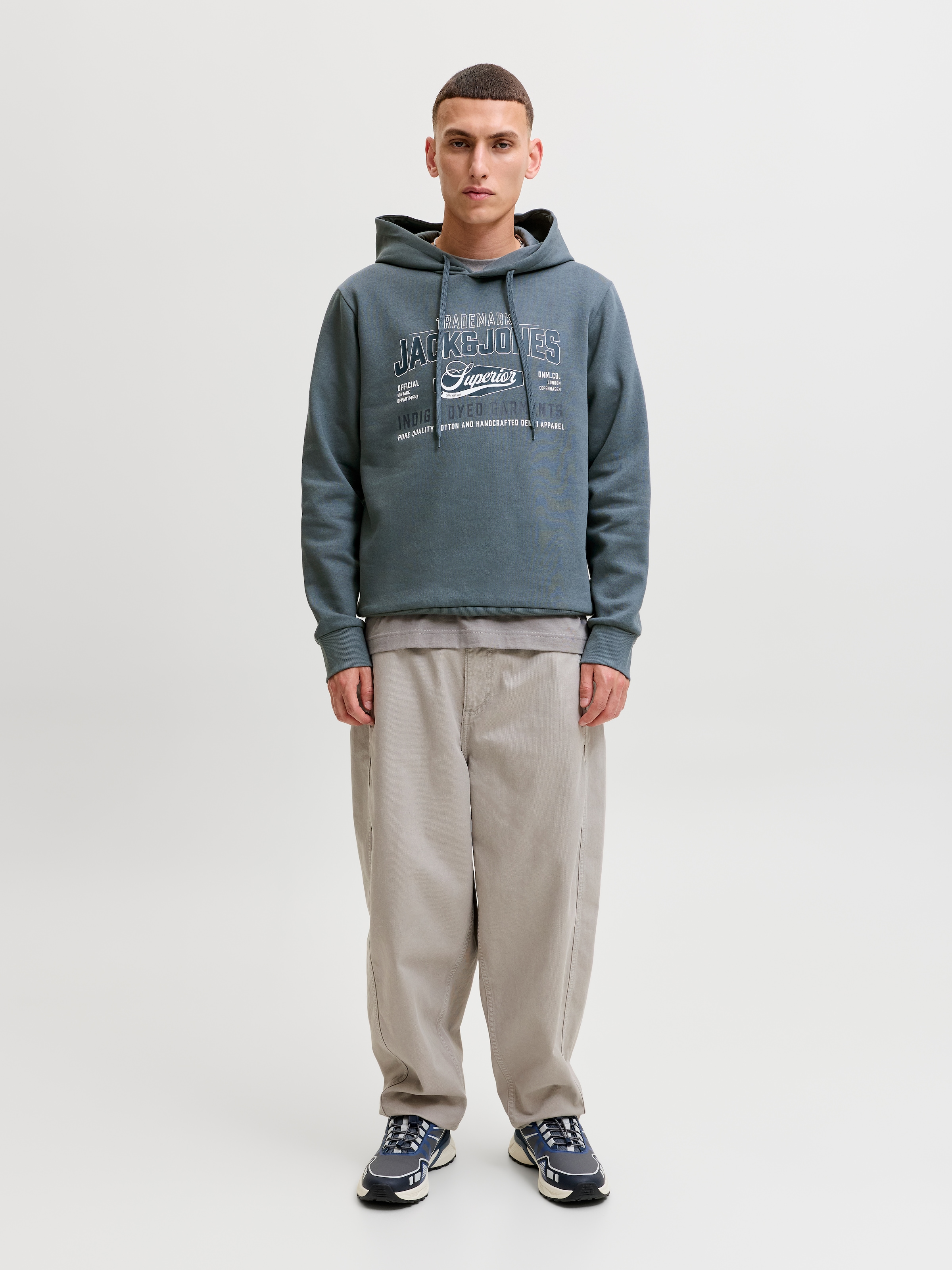 Jack & Jones Kapuzensweatshirt »JJELOGO SWEAT HOOD 2 COL AW26 SN«, Baumwollmischung, regular fit

