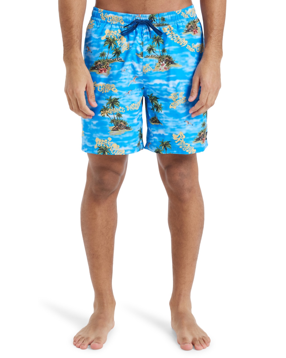 Quiksilver Boardshorts »Everyday Straight Volley 17"«