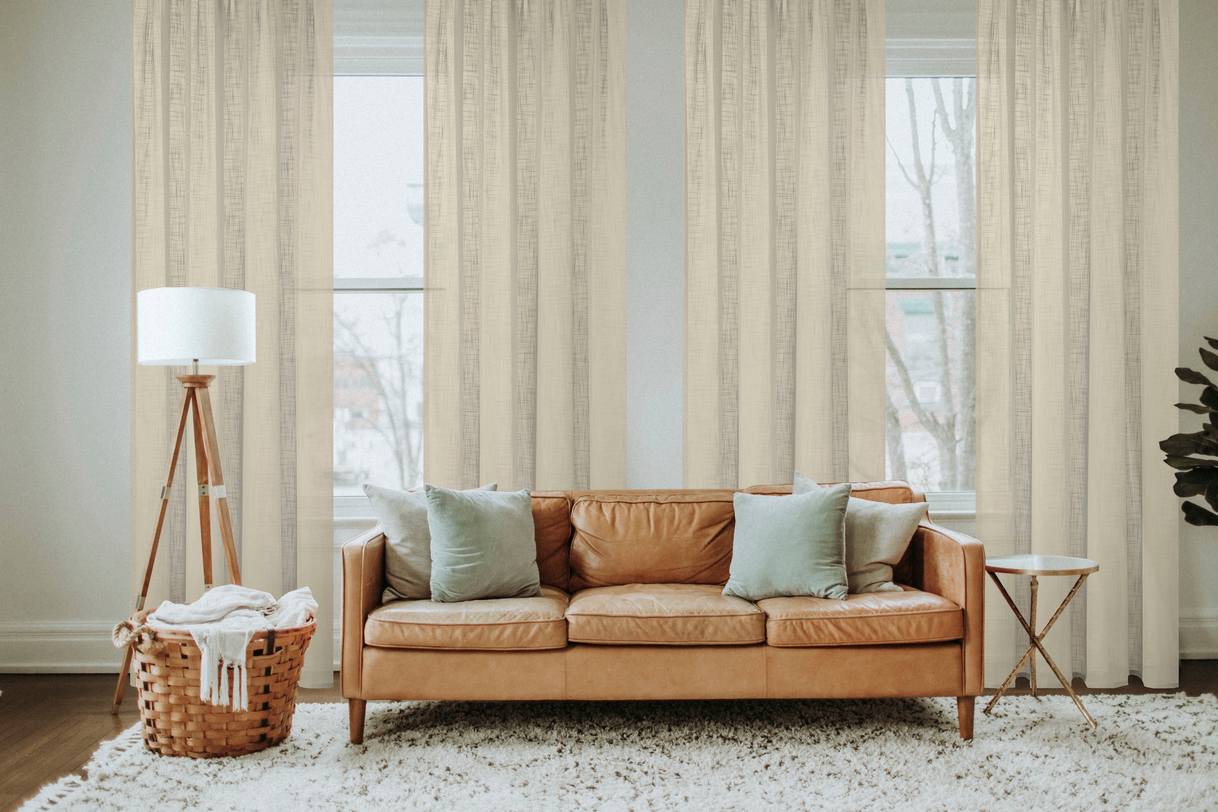 Home Basics Vorhang kaufen »SOFTY«, bei Ösenschal OTTO (1 Uni St.), SOFTY online
