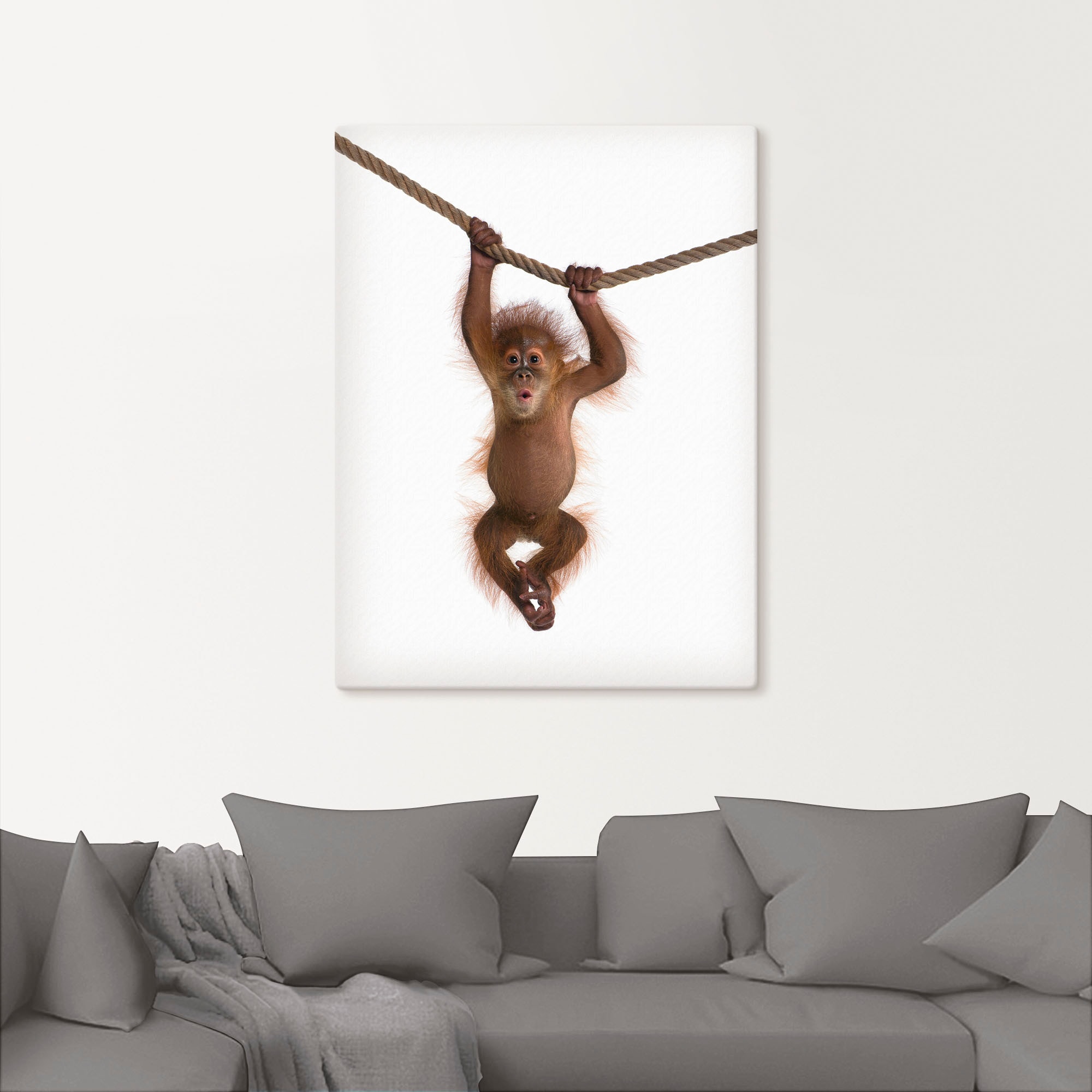 Artland Wandbild »Baby Orang Utan hängt an Seil II«, Wildtiere, (1 St.), als Alubild, Outdoorbild, Leinwandbild, Poster, Wandaufkleber