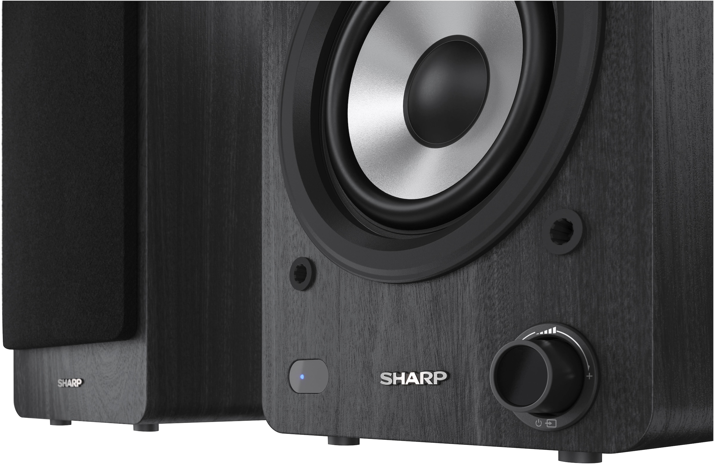 Sharp Lautsprecher »Regalboxen«