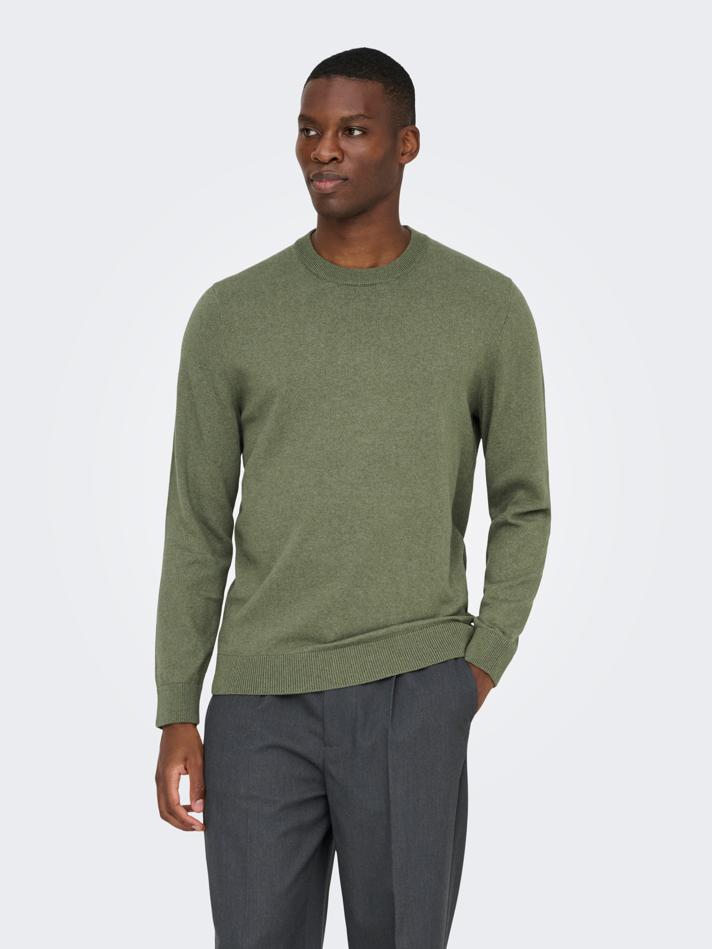 ONLY & SONS Rundhalspullover »ONSREX LIFE REG 12 CREW KNIT«