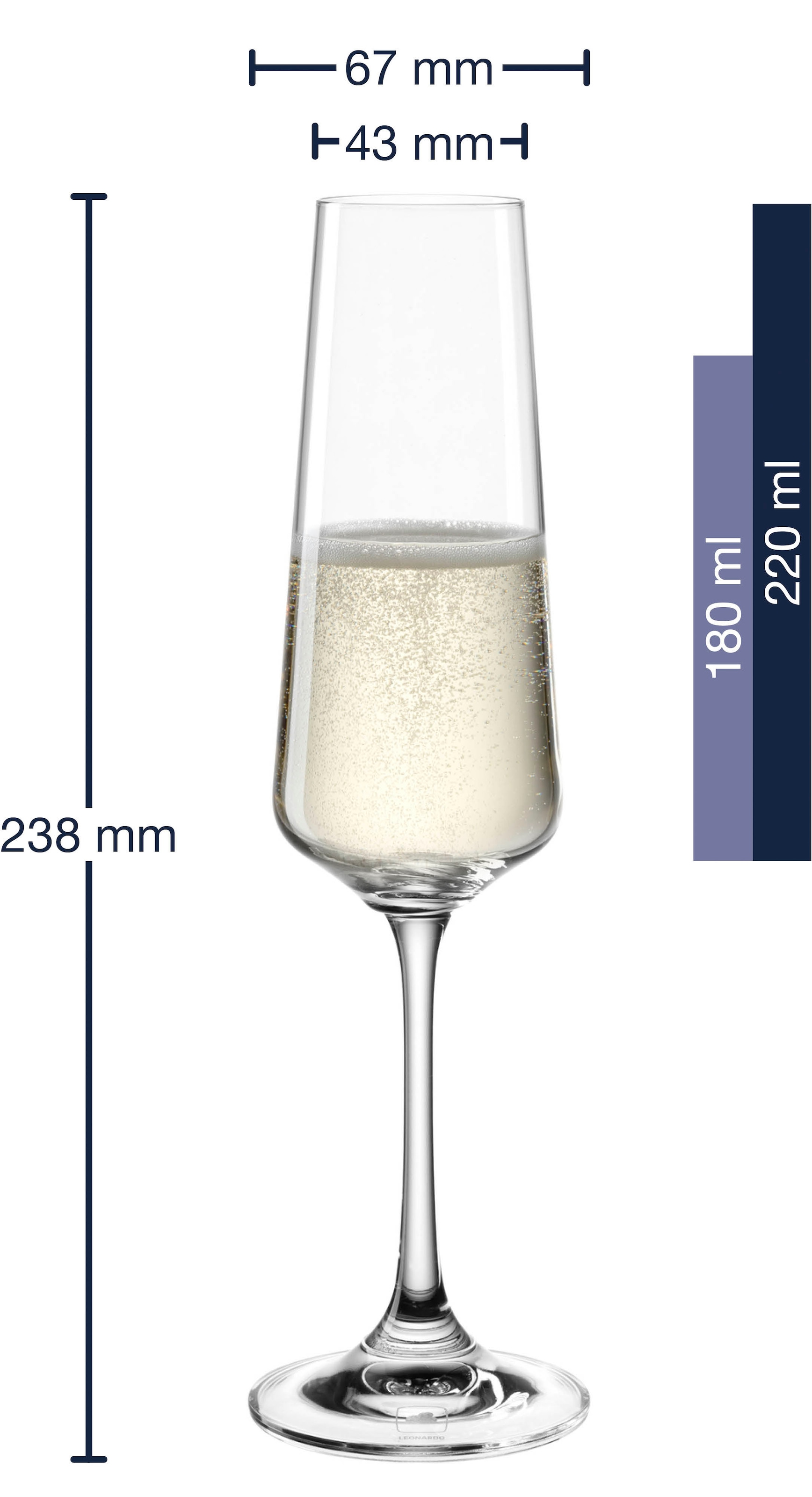 LEONARDO Sektglas »Gläser-Set PALADINO, 220 ml, 6er-Set«, (Set, 6 tlg.), spülmaschinengeeignet