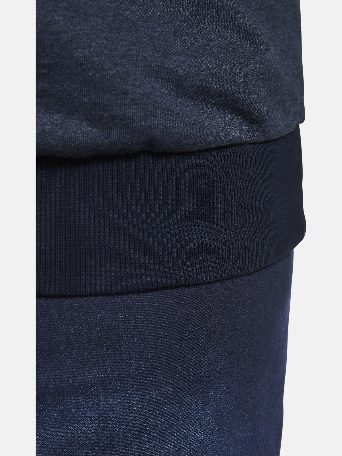 Charles Colby Sweatshirt »Sweatshirt EARL PADRIC«, (1 tlg.), im sportlichen Stil