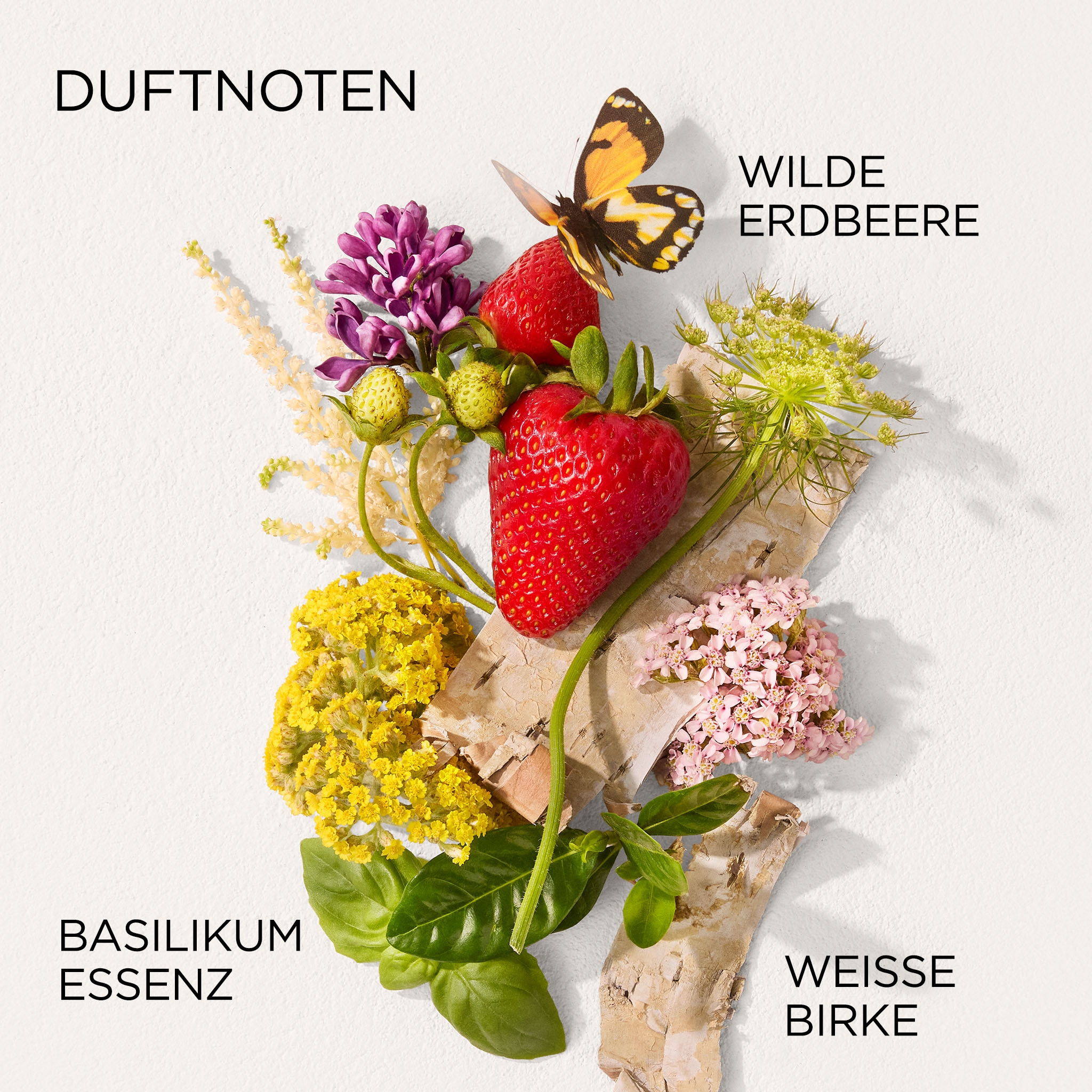 Elizabeth Arden Eau de Toilette »GREEN TEA STRAWBERRY BASIL EDT« mit fruchtig-würziger Duftnote