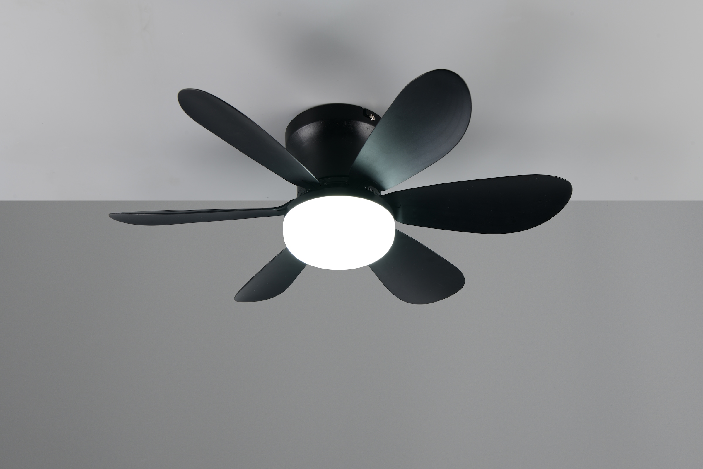 REALITY Leuchten LED Deckenleuchte »LUND mit Ventilator, Deckenventilator mit Licht inkl Fernbedienung« LED-Board 1 Stk. warmweiß - kaltweiß 3 Geschwindigkeiten Timer Vor- & Rücklauf LED dimmbar CCT Nachtlicht