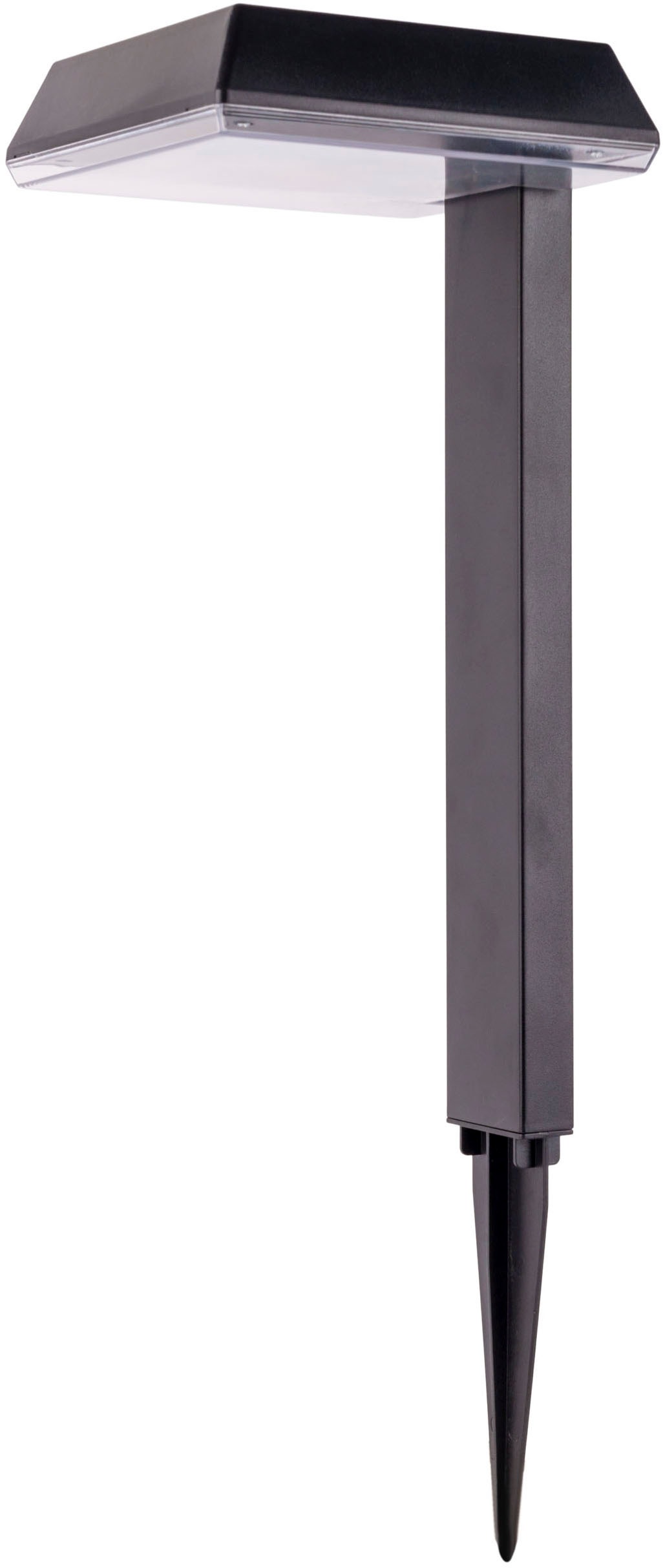 näve LED Solarleuchte »Sigi« LED-Modul 1 Stk. Warmweiß Dekoerdspieß, H: 79cm, Dämmerungssensor, schwarz, LED warmweiß