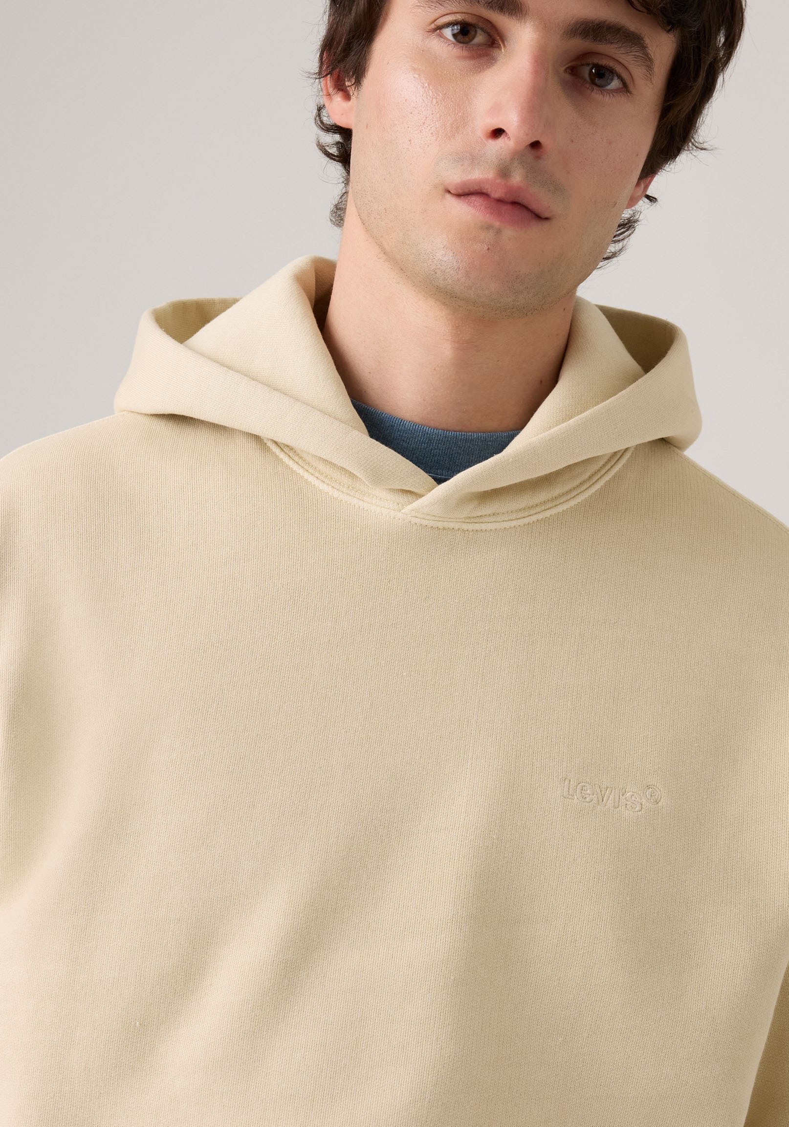 Levi's® Hoodie »THE AUTHENTIC HOODIE«, mit kleiner Ton-in-Ton Logostickerei auf der Brust