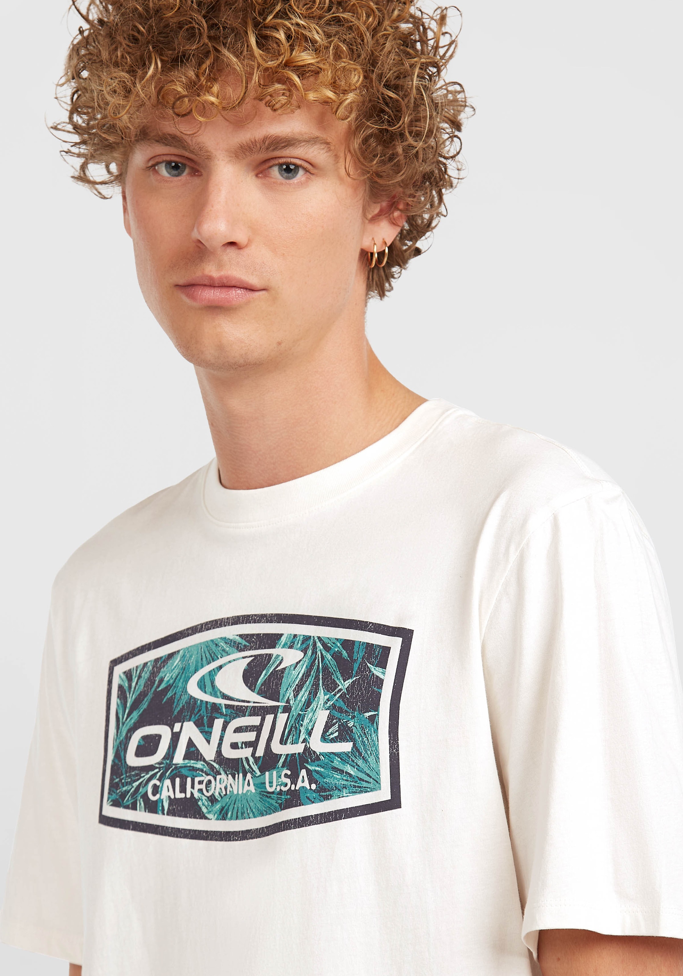 O'Neill T-Shirt »O'NEILL GRAPHIC T-SHIRT«, (1 tlg.)