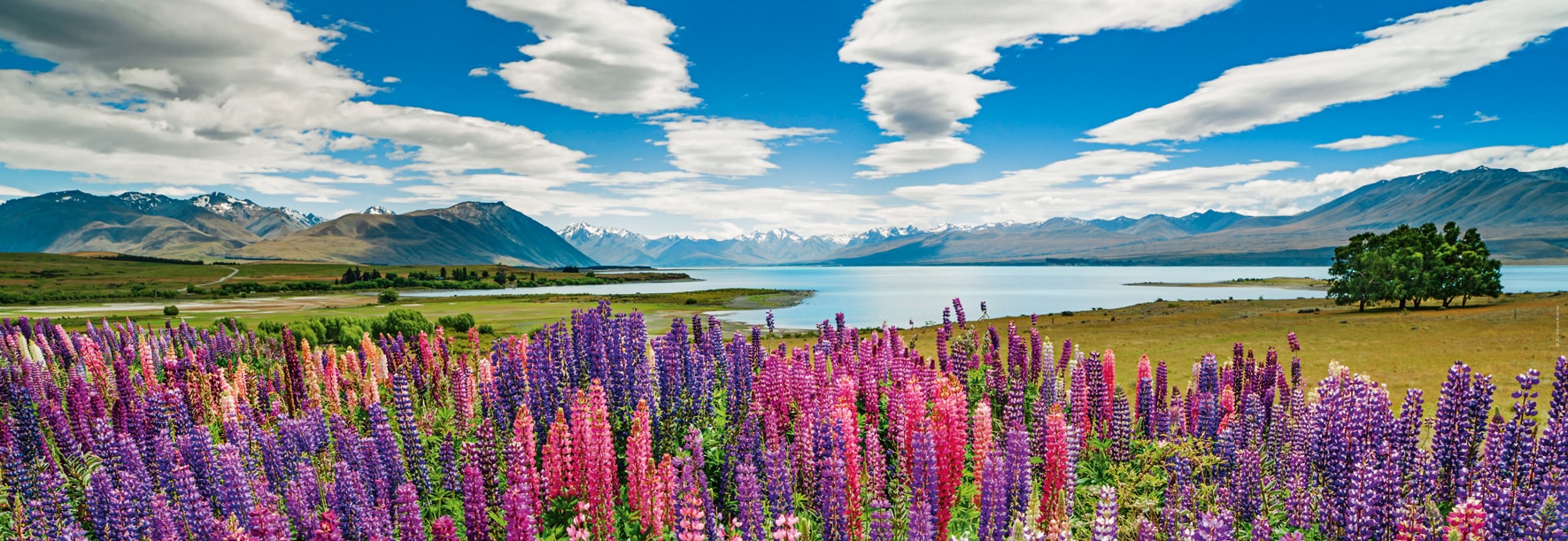 HEYE Puzzle »Lake Tekapo, Edition Humboldt«, Made in Europe