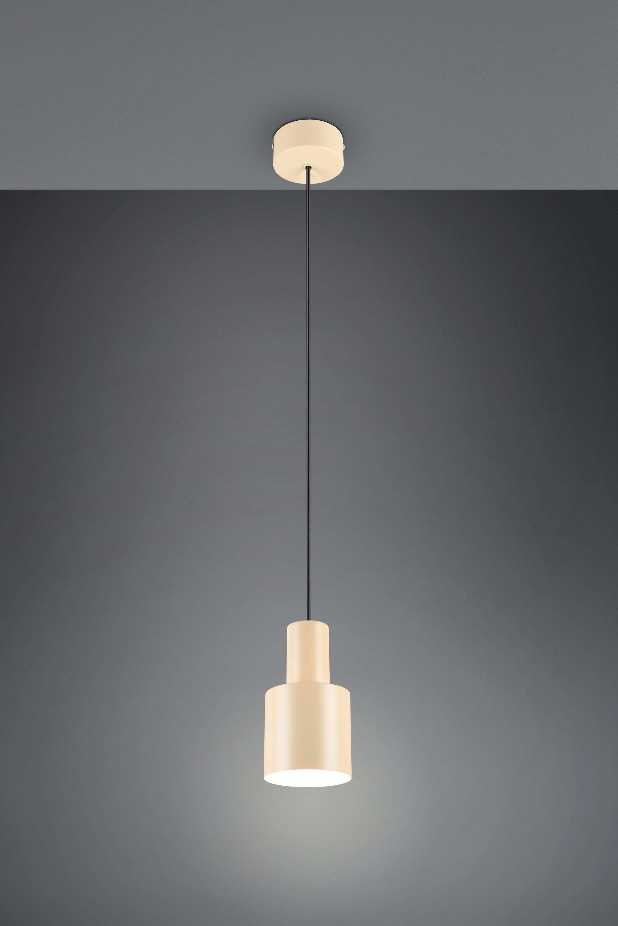 TRIO Leuchten Pendelleuchte »AGUDO, Hängelampe 1-flammig, exkl 1xE27 max 10W, höhenverstellbar« E27 1 Stk. warmweiß - kaltweiß Hängelampe Ø 12cm, bis max 150cm Abhängung, Küche Esszimmer Wohnzimmer