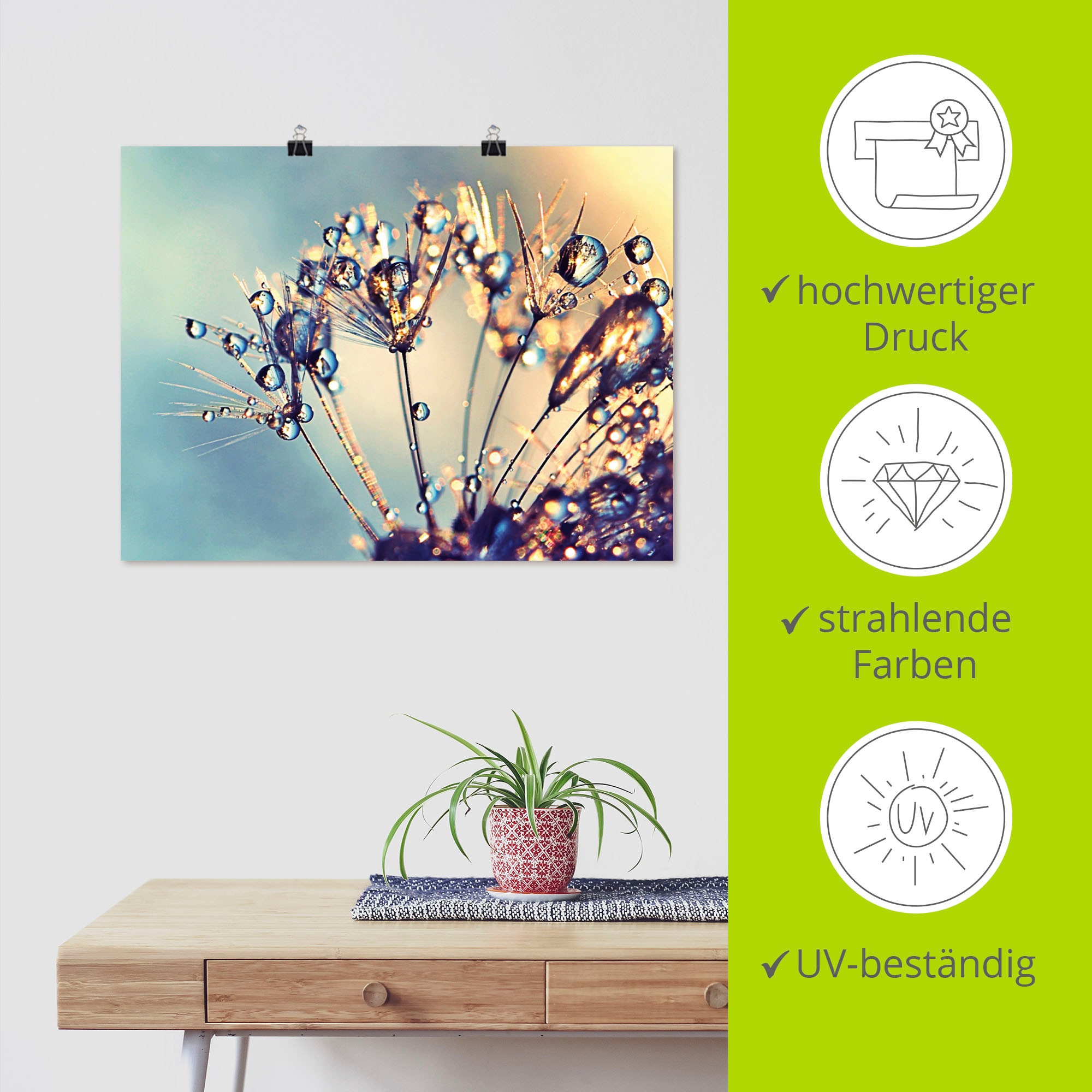 Artland Wandbild »Pusteblume Glitzertau«, Blumen, (1 St.), als Leinwandbild, Poster in verschied. Größen
