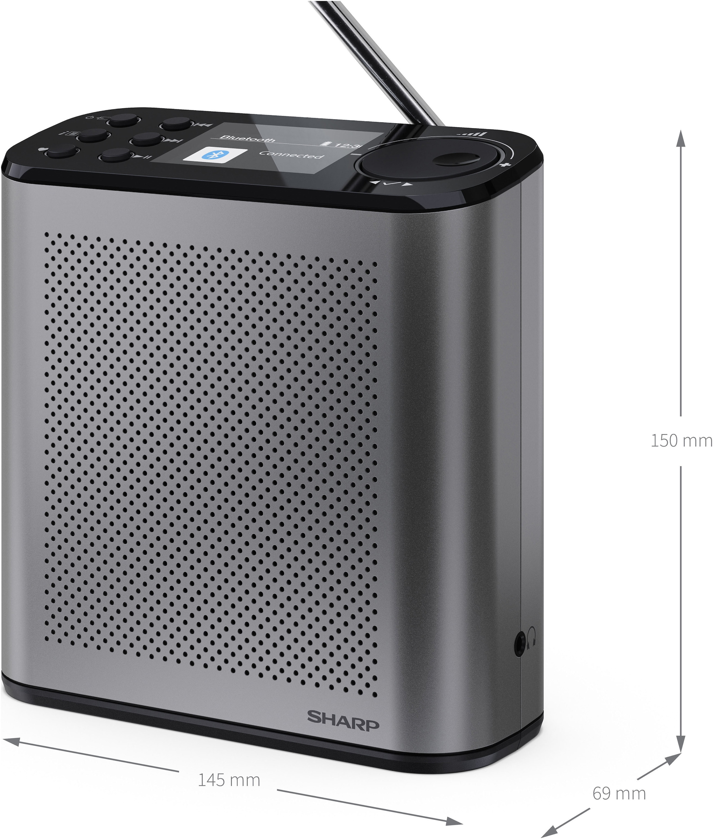 Sharp Digitalradio (DAB+) »DR-P530(GY)« (Bluetooth Digitalradio (DAB+) | UKW mit RDS )