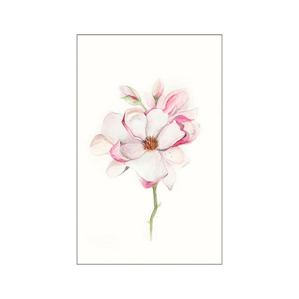 Komar Poster »Magnolia Blossom«, Blumen, (1 St.)