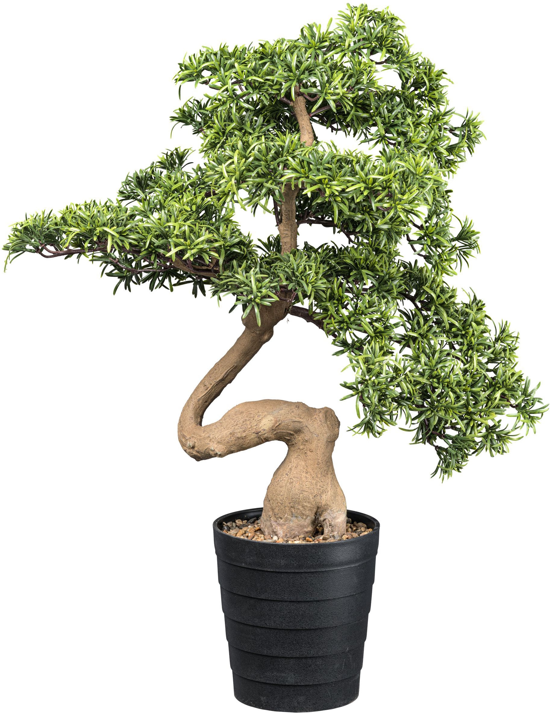 Kunstbonsai »Bonsai Steineibe«, in toller Größe