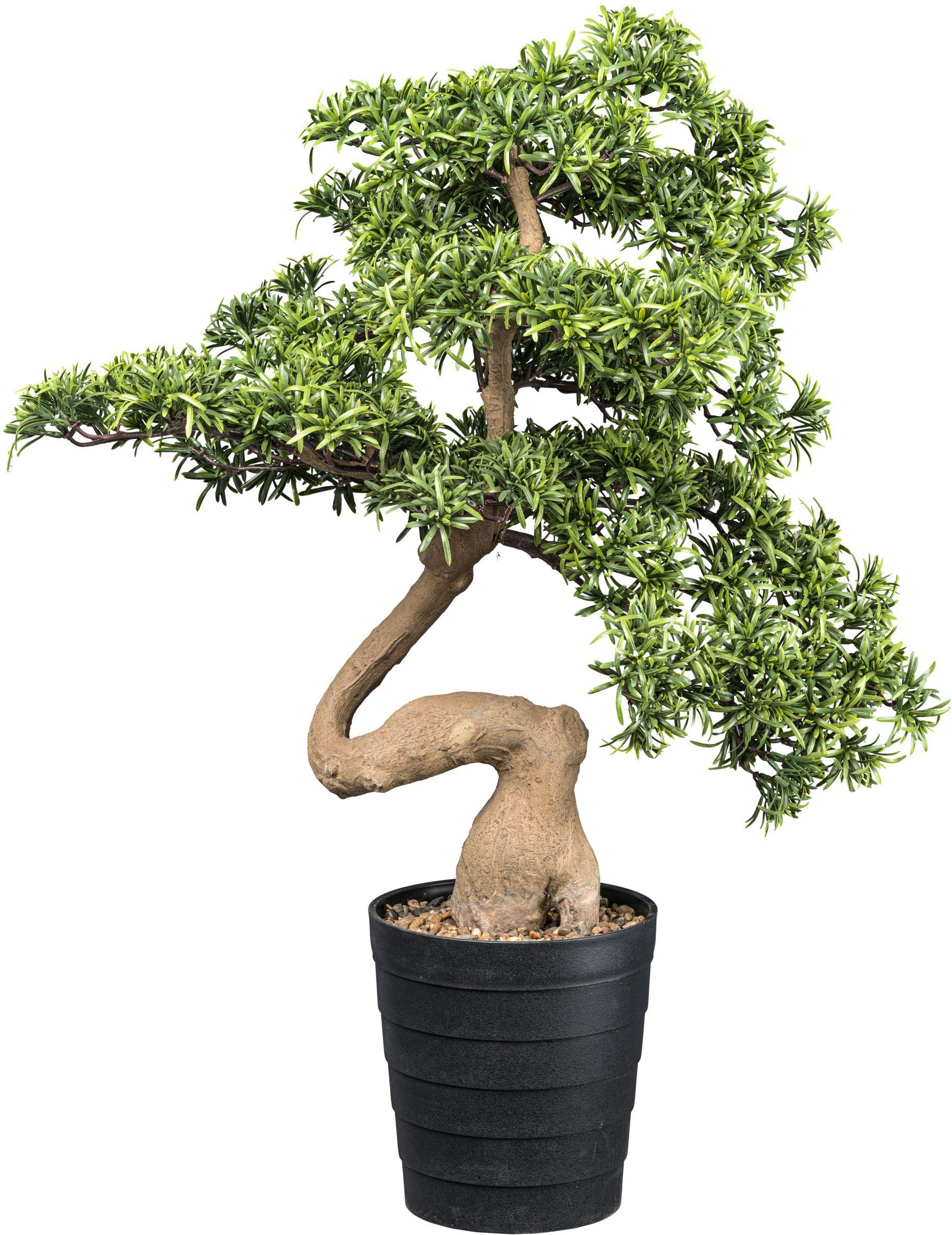 Creativ Green Kunstbonsai »Bonsai Steineibe« in toller Größe in grün, Größe B/H/L: 60 cm x 90 cm