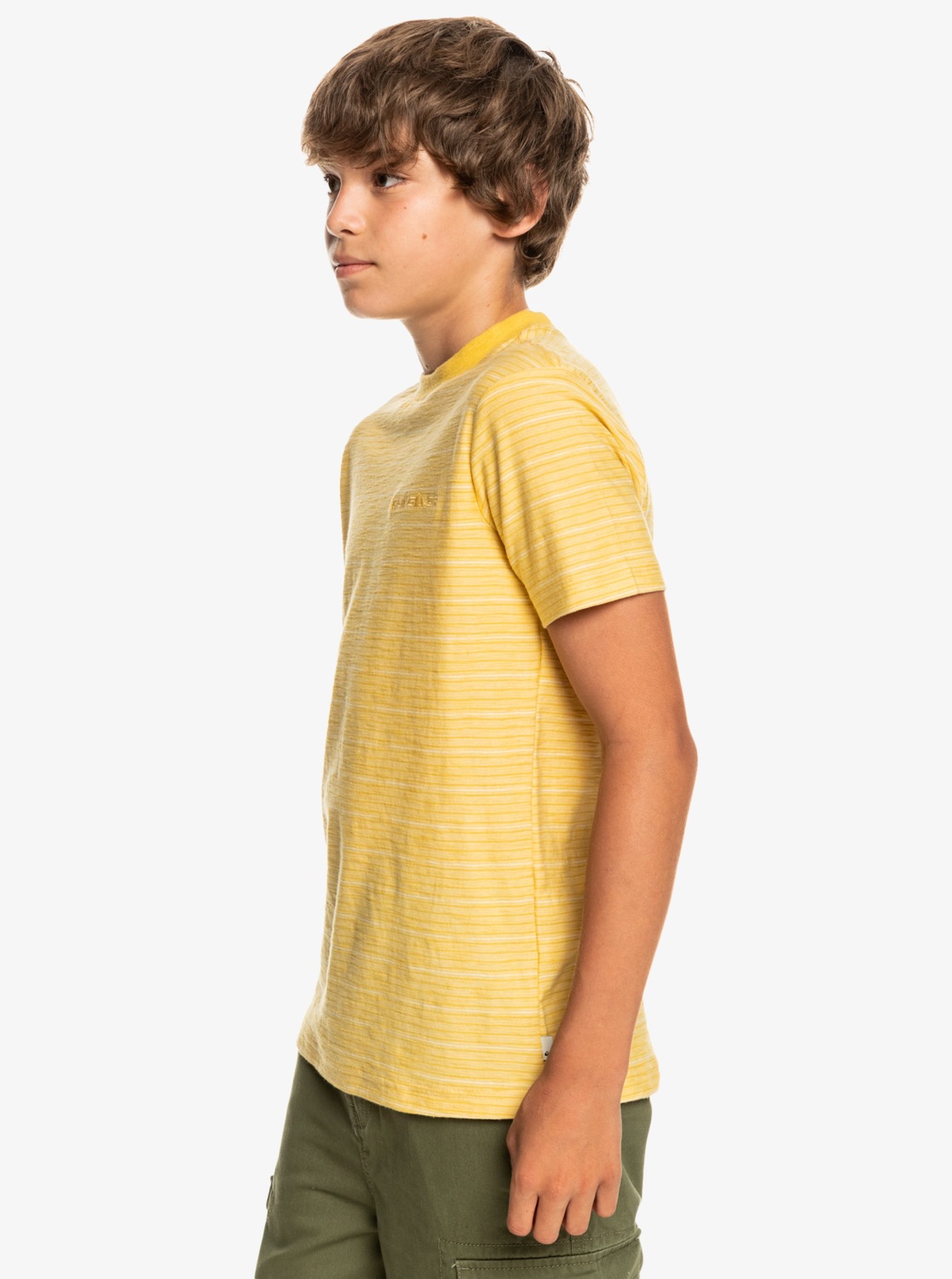 Quiksilver T-Shirt »Kentin«