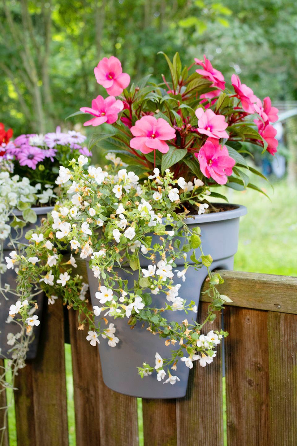 KHW Balkonkasten »Flowerclip«, (Set, 3 St.), ØxH: 27x27,5 cm