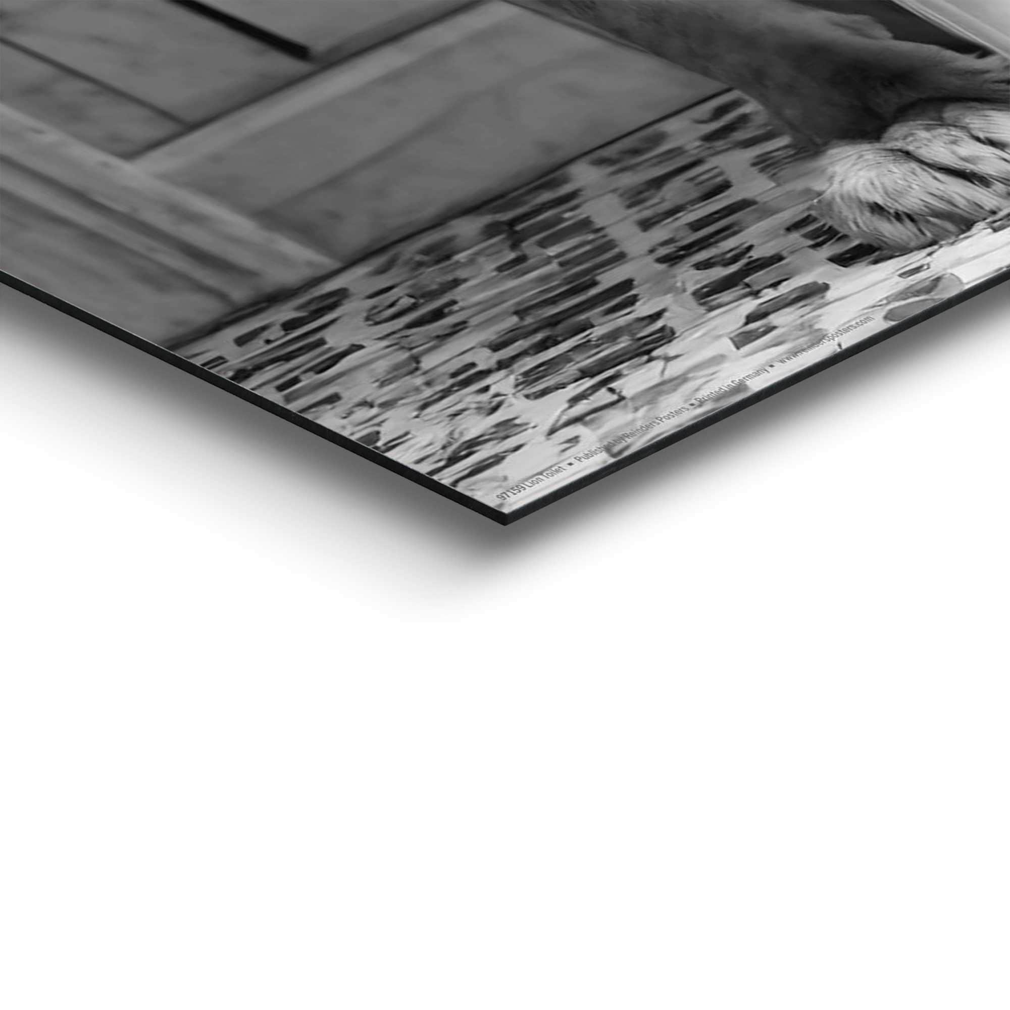 Reinders! Deco-Panel »Löwe auf Toilette« Toilette - Schwarz-Weiß - MDF - Tiere - 40x50 cm