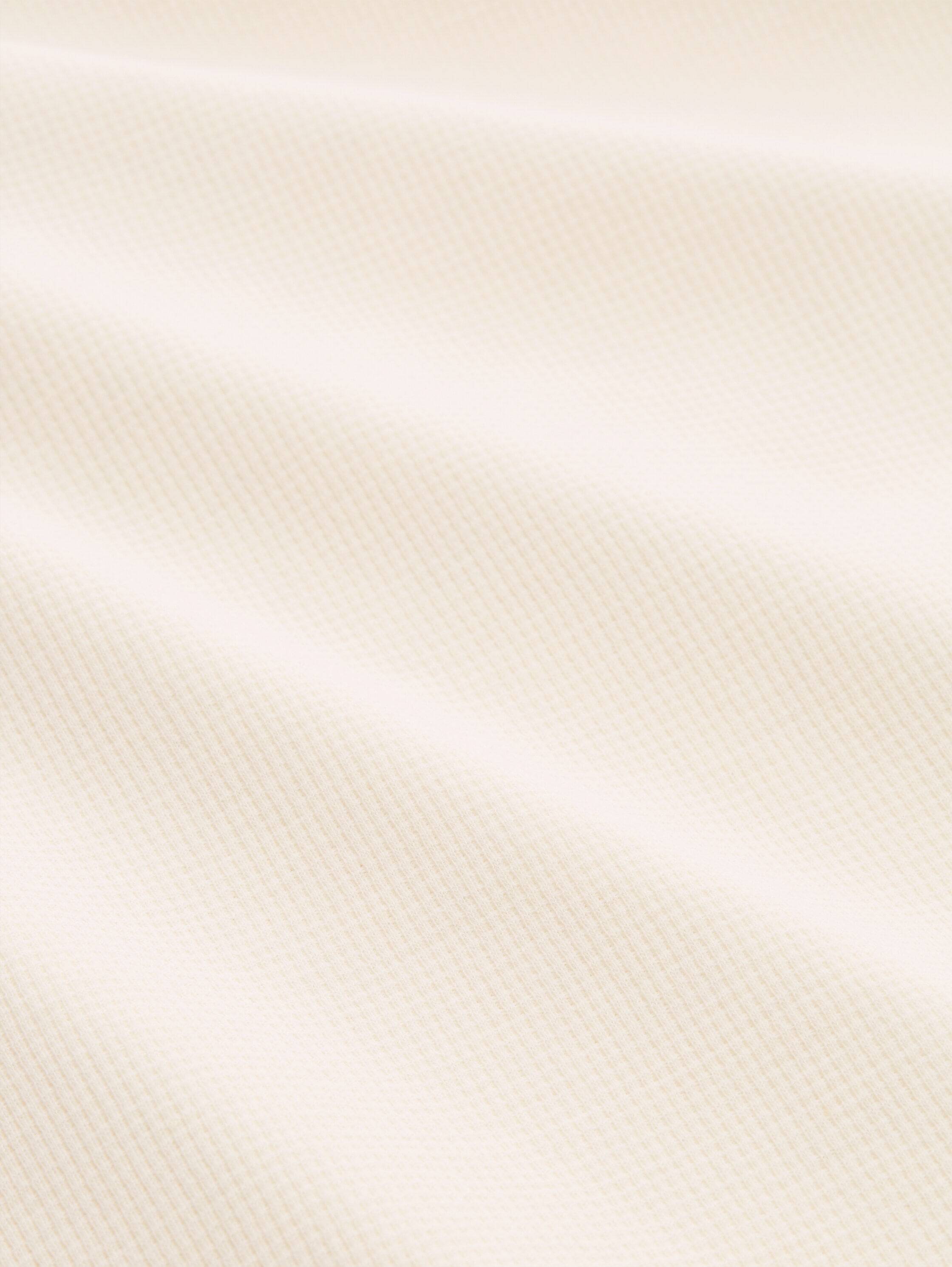 TOM TAILOR Langarmshirt